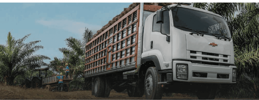 IMAGEN_CAMION_CHEVROLET_FTR